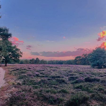 Sluwe Vos: Ontspannen In Het Bos! Otterlo Exteriör bild