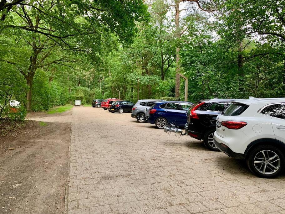 Sluwe Vos: Ontspannen In Het Bos! Otterlo Exteriör bild