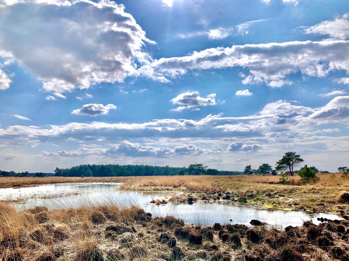 Sluwe Vos: Ontspannen In Het Bos! Otterlo Exteriör bild