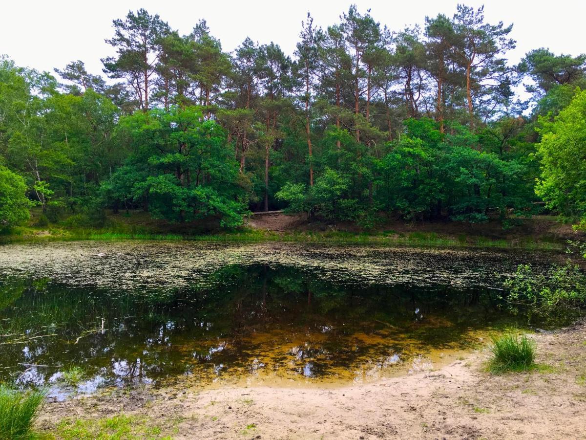 Sluwe Vos: Ontspannen In Het Bos! Otterlo Exteriör bild